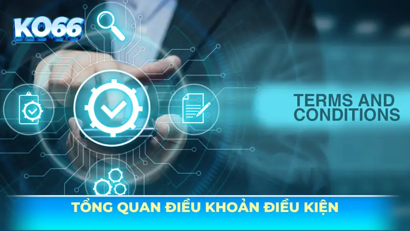 Tổng quan điều khoản điều kiện