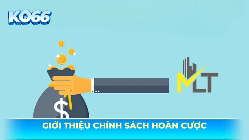 Giới thiệu chính sách hoàn cược